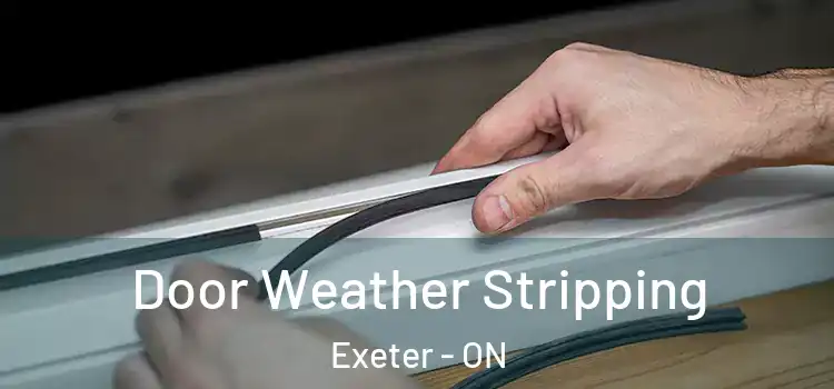 Door Weather Stripping Exeter - ON