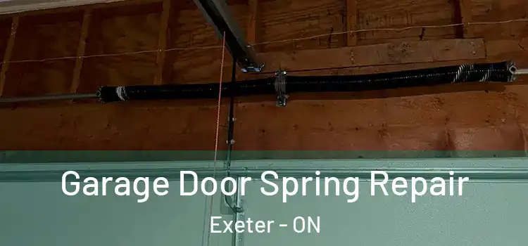  Garage Door Spring Repair Exeter - ON