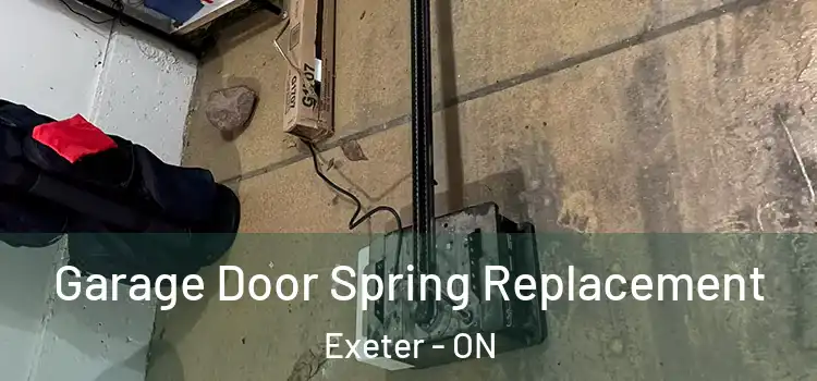  Garage Door Spring Replacement Exeter - ON