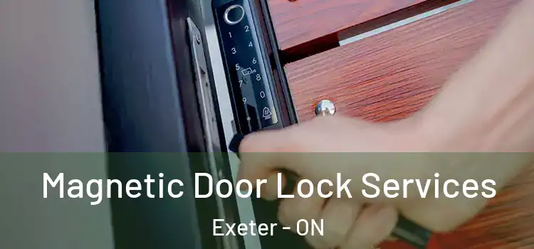  Magnetic Door Lock Services Exeter - ON